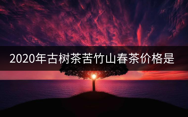 2020年古樹茶苦竹山春茶價格是多少？