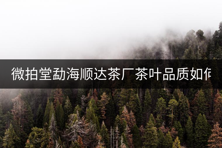 微拍堂勐海順達(dá)茶廠(chǎng)茶葉品質(zhì)如何？