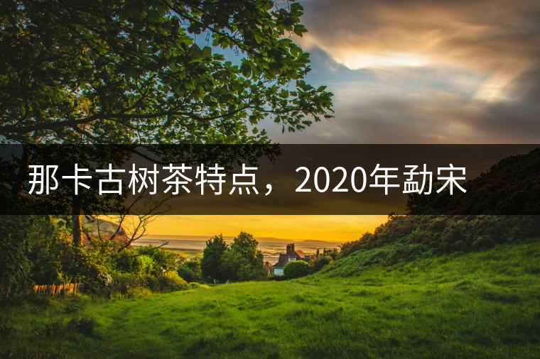 那卡古樹茶特點，2020年勐宋茶區(qū)保塘普洱茶口感