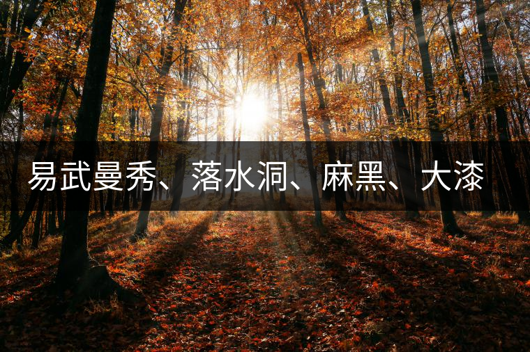 易武曼秀、落水洞、麻黑、大漆樹等你更喜歡哪個(gè)茶？