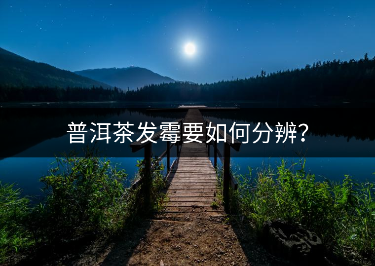 普洱茶發(fā)霉要如何分辨？