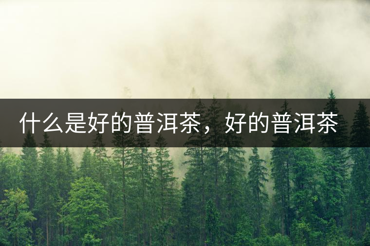 什么是好的普洱茶，好的普洱茶必須要有好的工藝！