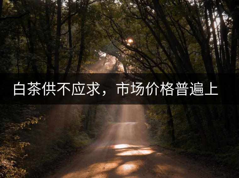 白茶供不應(yīng)求，市場價格普遍上漲？