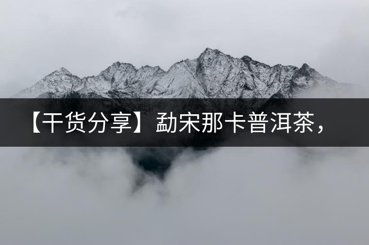 【干貨分享】勐宋那卡普洱茶，不僅僅是小班章那么單純！