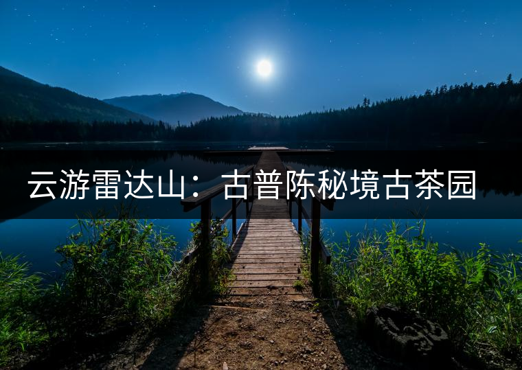 云游雷達(dá)山：古普陳秘境古茶園，品第一杯春鮮