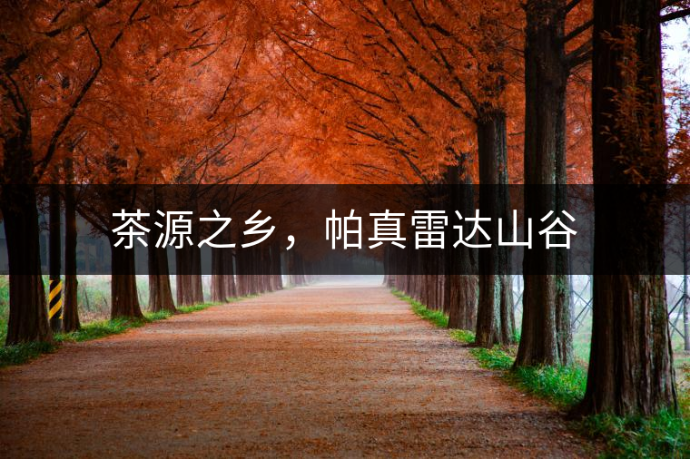 茶源之鄉(xiāng)，帕真雷達山谷