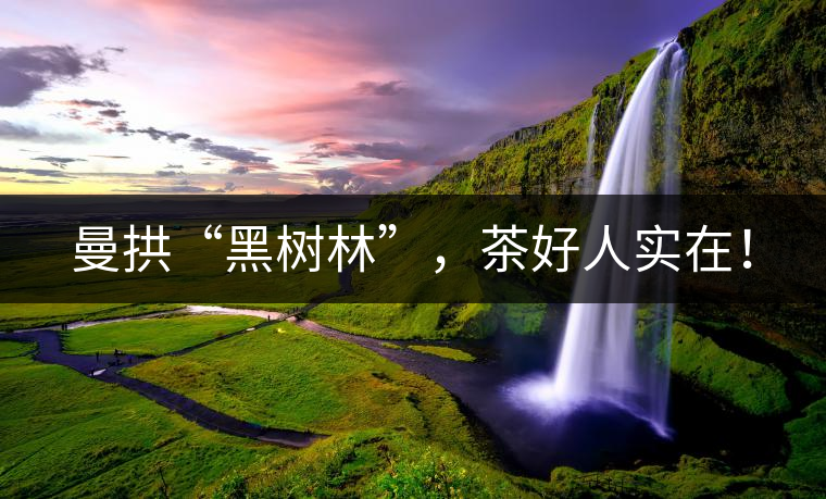 曼拱“黑樹林”，茶好人實在！