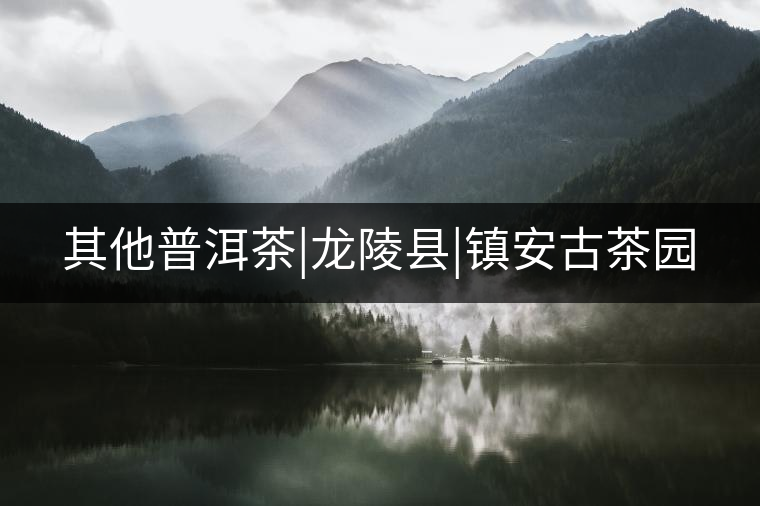 其他普洱茶|龍陵縣|鎮(zhèn)安古茶園