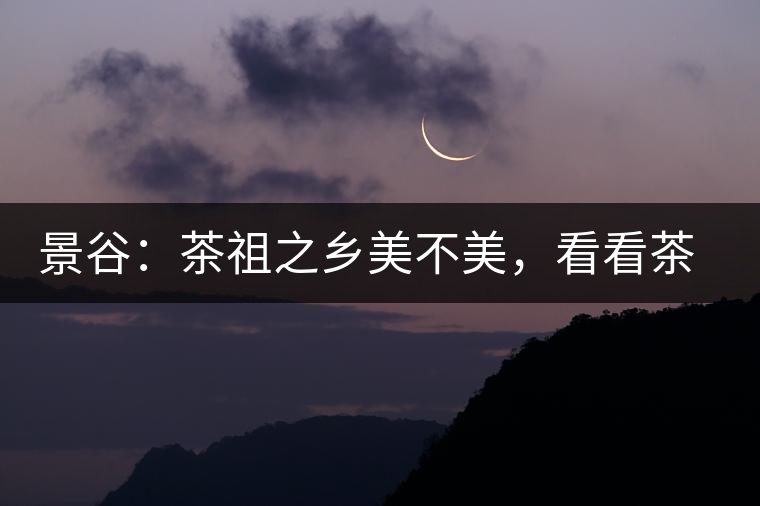 景谷:茶祖之鄉(xiāng)美不美,看看茶山和美人 景谷:茶祖之鄉(xiāng)美不美,看看茶山和美人