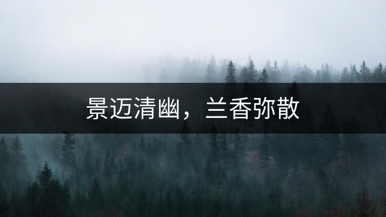景邁清幽，蘭香彌散