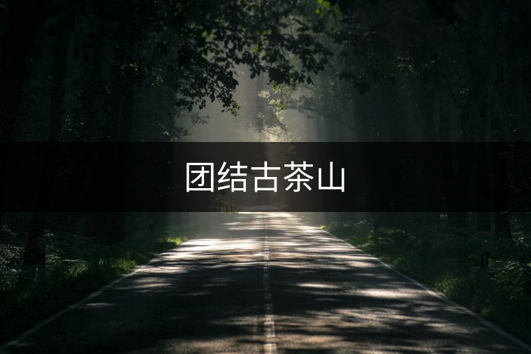 團結(jié)古茶山 團結(jié)古茶山