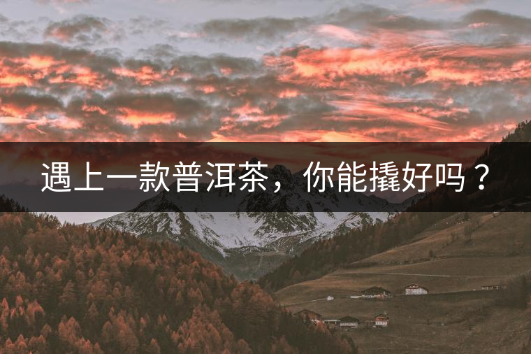 遇上一款普洱茶，你能撬好嗎 ？