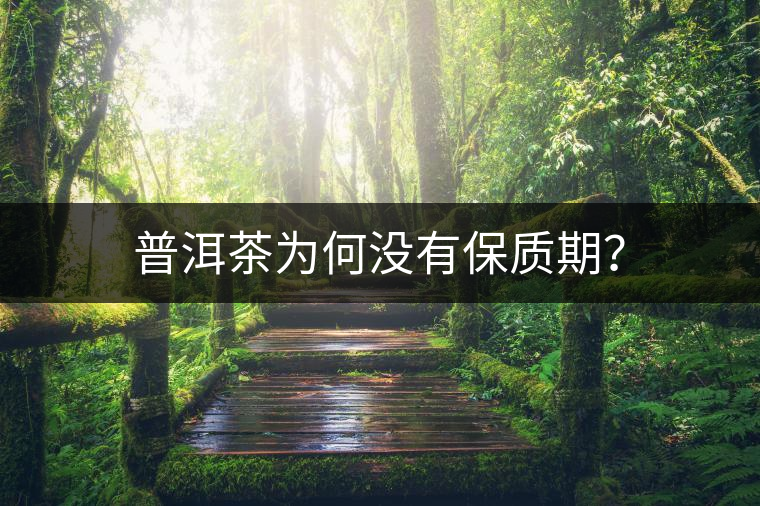 普洱茶為何沒有保質(zhì)期？