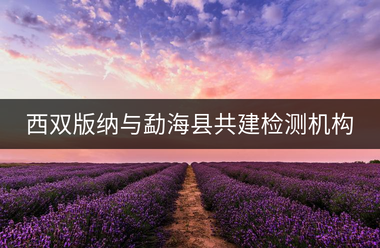 西雙版納與勐??h共建檢測(cè)機(jī)構(gòu) 西雙版納與勐海縣共建檢測(cè)機(jī)構(gòu)