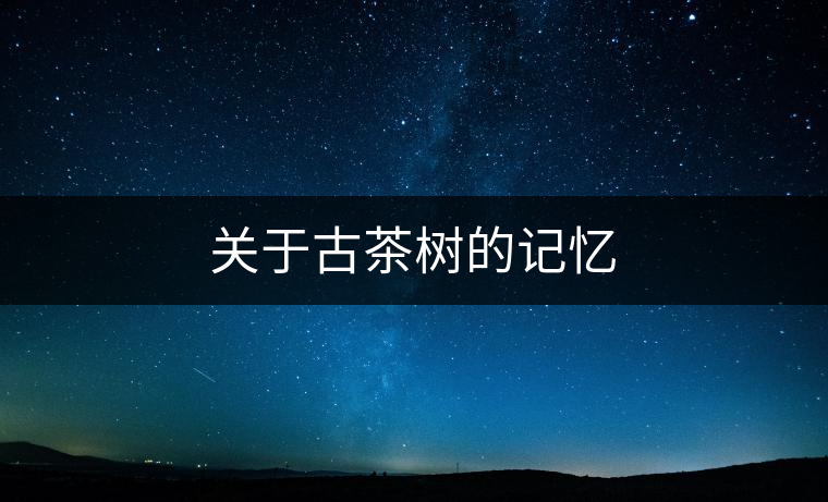 關(guān)于古茶樹(shù)的記憶