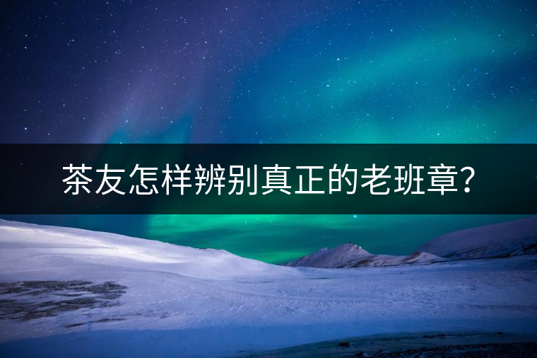 茶友怎樣辨別真正的老班章？