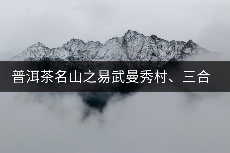 普洱茶名山之易武曼秀村、三合社村