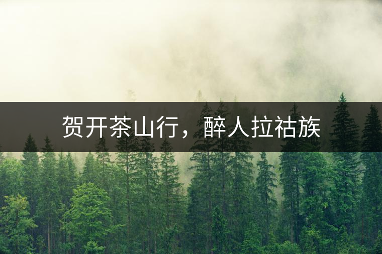 賀開茶山行，醉人拉祜族