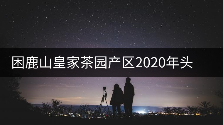 困鹿山皇家茶園產(chǎn)區(qū)2020年頭春古樹，白花林口感特點(diǎn)