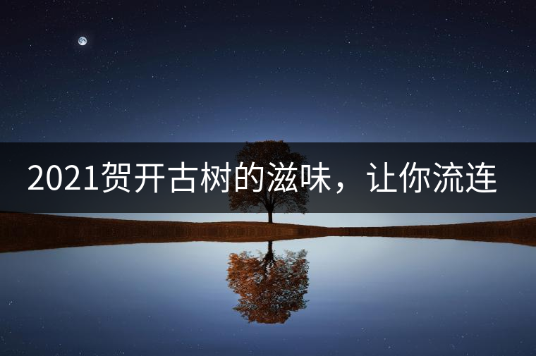 2021賀開(kāi)古樹(shù)的滋味，讓你流連忘返