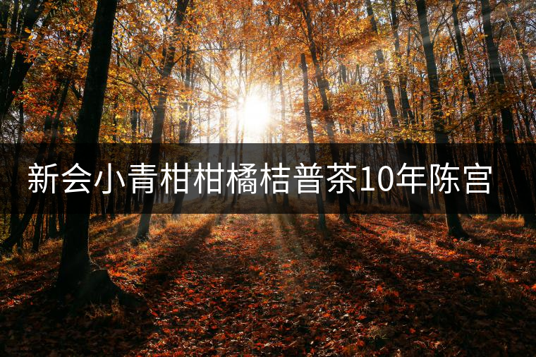 新會小青柑柑橘桔普茶10年陳宮廷陳皮普洱茶熟茶禮盒裝 皇譽茶葉 新會小青柑柑橘桔普茶10年陳宮廷陳皮普洱茶熟茶禮盒裝 皇譽茶葉