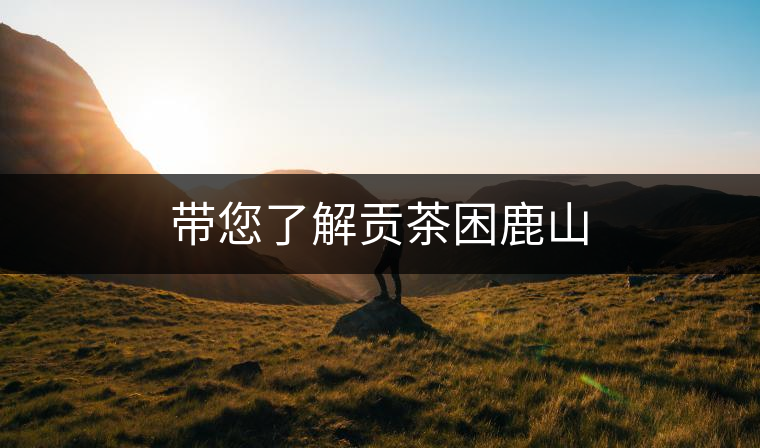 帶您了解貢茶困鹿山