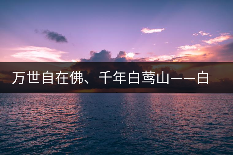 萬(wàn)世自在佛、千年白鶯山——白鶯山古樹茶特點(diǎn)