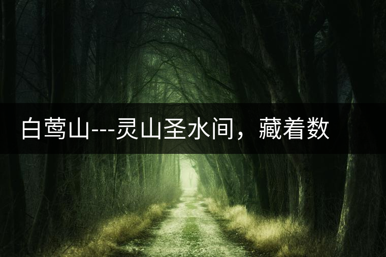 白鶯山---靈山圣水間，藏著數(shù)不盡的佛茶佳話(huà)