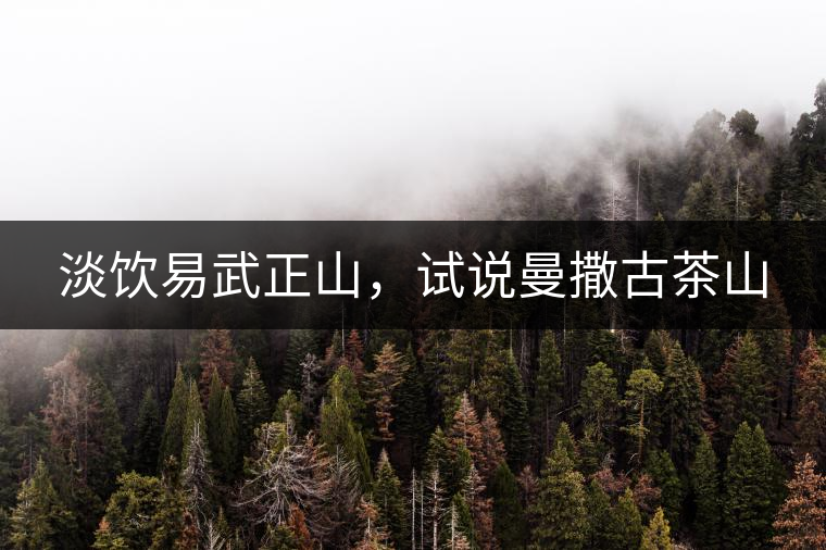 淡飲易武正山，試說(shuō)曼撒古茶山