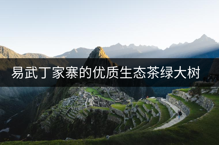 易武丁家寨的優(yōu)質(zhì)生態(tài)茶綠大樹特點鑒賞 易武丁家寨的優(yōu)質(zhì)生態(tài)茶綠大樹特點鑒賞