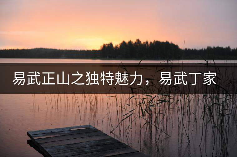 易武正山之獨特魅力，易武丁家寨介紹品鑒