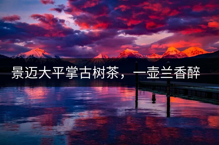 景邁大平掌古樹茶，一壺蘭香醉春秋