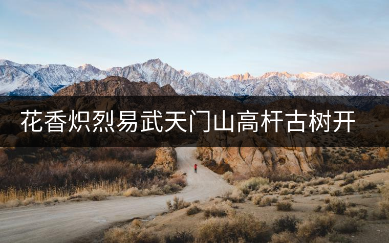 花香熾烈易武天門(mén)山高桿古樹(shù)開(kāi)湯鑒賞