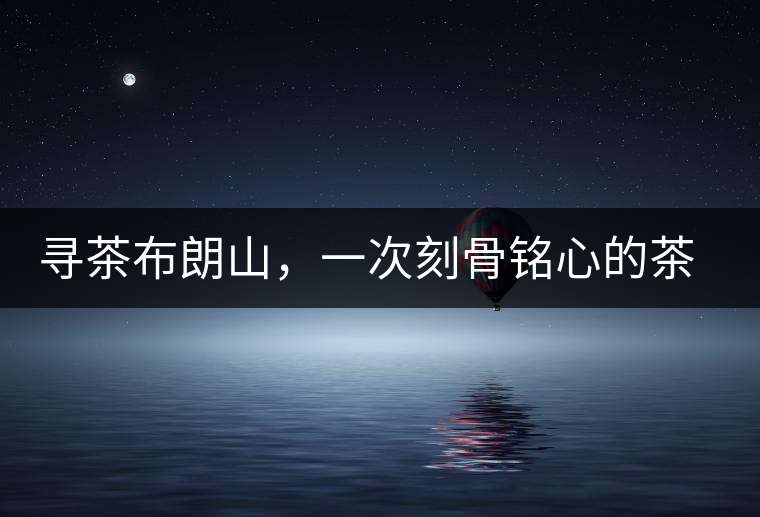 尋茶布朗山，一次刻骨銘心的茶山行