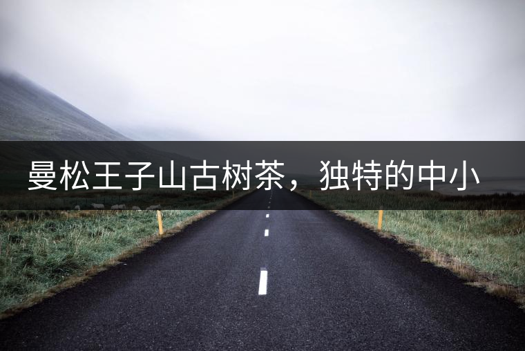 曼松王子山古樹(shù)茶，獨(dú)特的中小葉種珍品貢茶