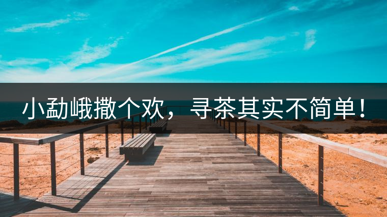 小勐峨撒個(gè)歡，尋茶其實(shí)不簡(jiǎn)單！