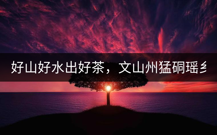 好山好水出好茶，文山州猛硐瑤鄉(xiāng)茶！