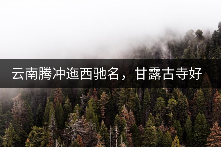 云南騰沖迤西馳名，甘露古寺好茶