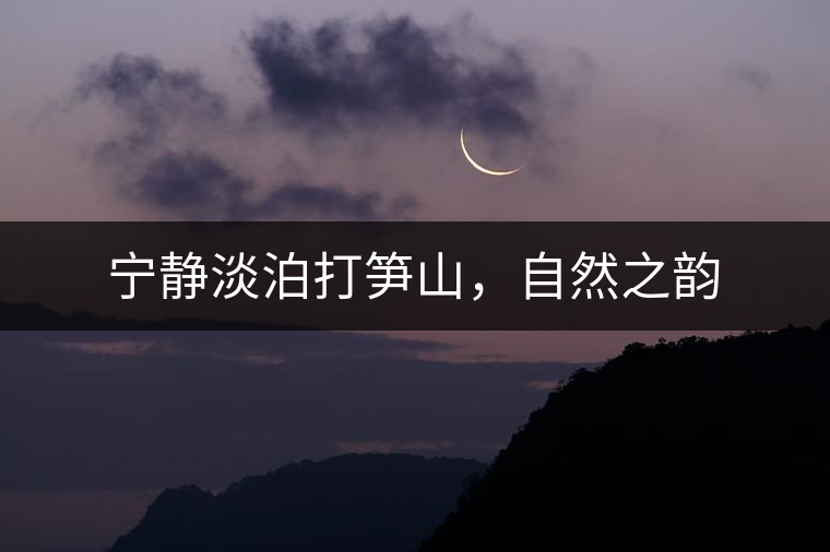 寧靜淡泊打筍山，自然之韻