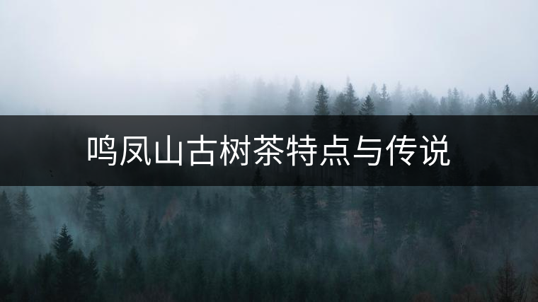 鳴鳳山古樹茶特點與傳說 鳴鳳山古樹茶特點與傳說