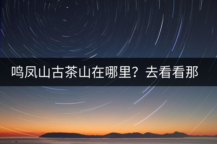 鳴鳳山古茶山在哪里？去看看那鳳凰曾經落腳的地方