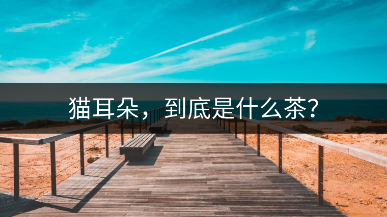 貓耳朵，到底是什么茶？