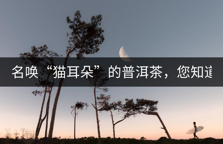 名喚“貓耳朵”的普洱茶，您知道嗎、
