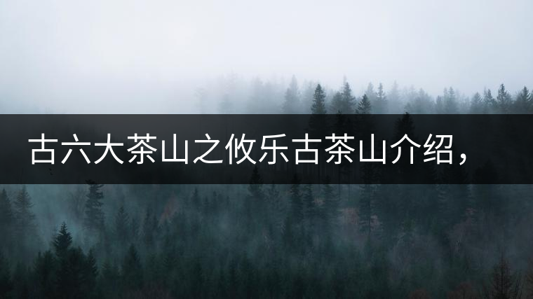 古六大茶山之攸樂古茶山介紹，攸樂古樹茶口感特點