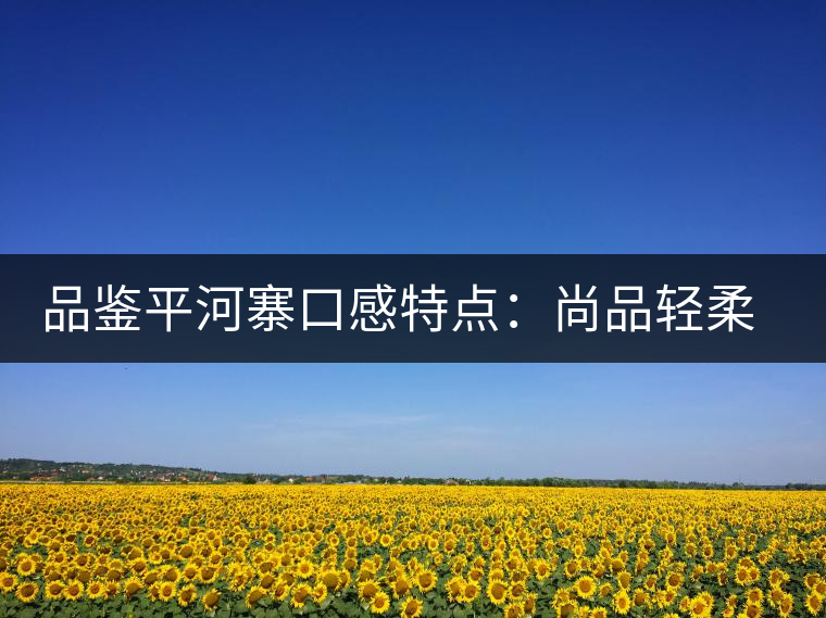 品鑒平河寨口感特點(diǎn)：尚品輕柔，清涼獨(dú)特