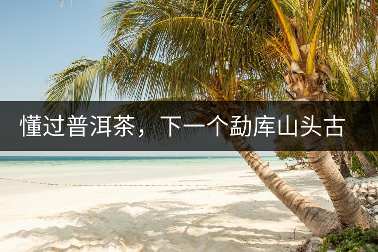 懂過(guò)普洱茶，下一個(gè)勐庫(kù)山頭古純的引爆點(diǎn)