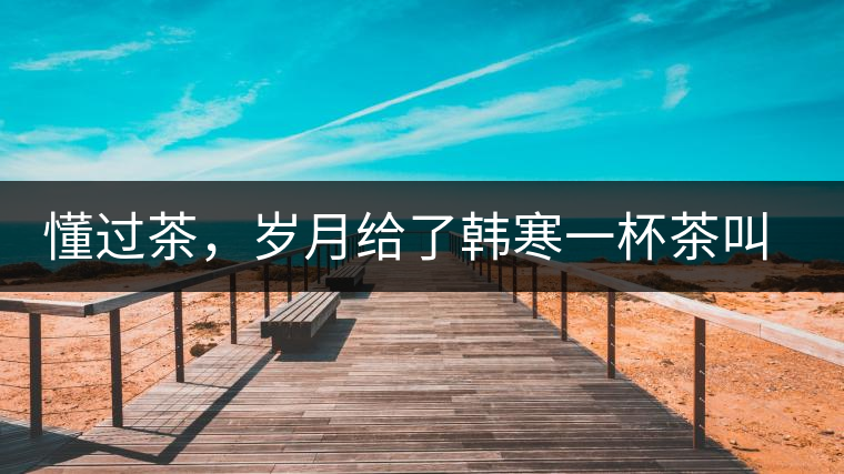 懂過(guò)茶，歲月給了韓寒一杯茶叫懂過(guò)