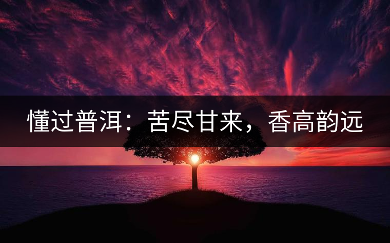 懂過普洱：苦盡甘來，香高韻遠