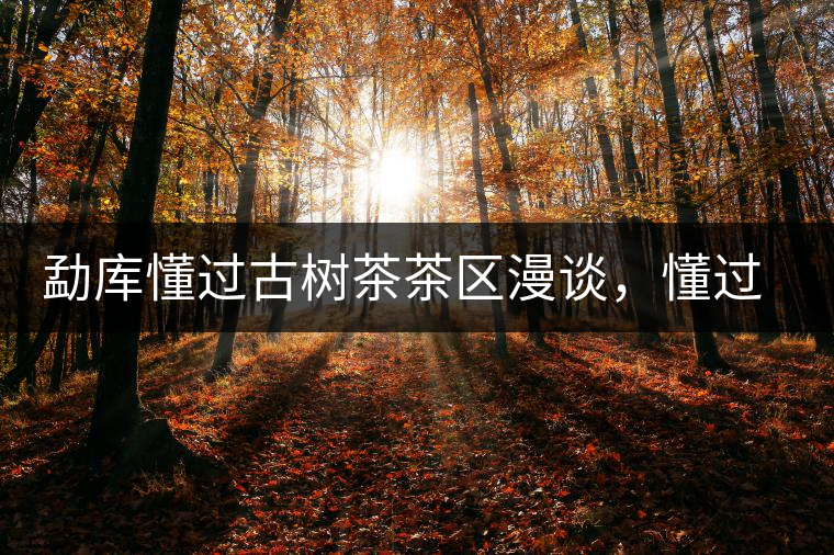 勐庫(kù)懂過(guò)古樹(shù)茶茶區(qū)漫談，懂過(guò)古樹(shù)茶的特點(diǎn)