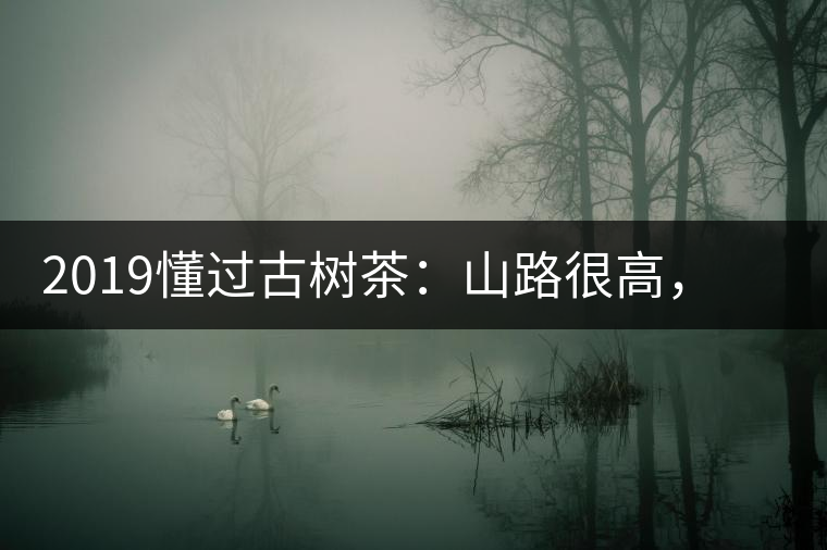 2019懂過古樹茶：山路很高，可仍然有執(zhí)著走向深山的人